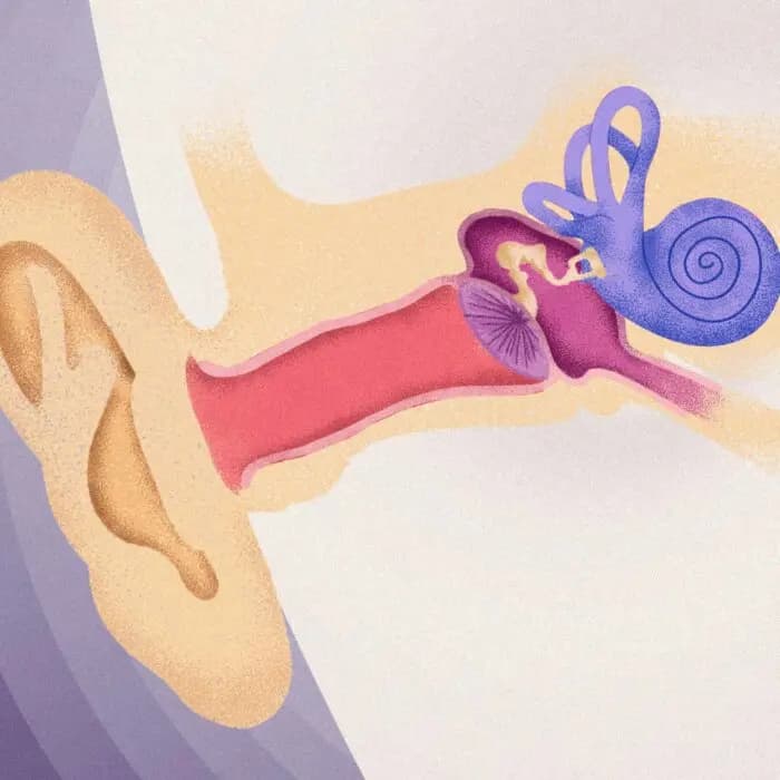 La verdadera causa de la pérdida de sus sentidos y cómo recuperarlos. (Ilustración de Sunny Lo).