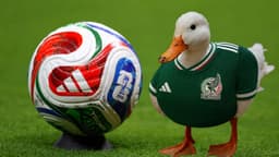 ¿Quién es Merlín? El pato mundialista convocado por la FIFA