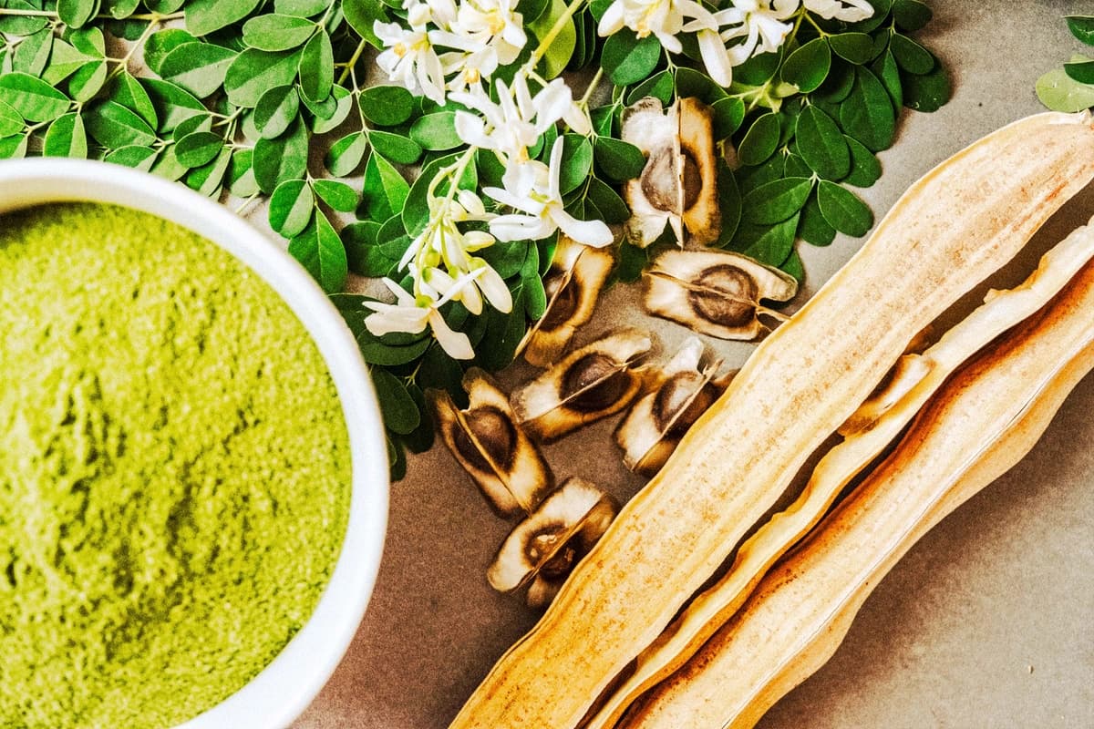 Moringa: superalimento ancestral que nutre el cerebro y fortalece la inmunidad. (Red Confidential/Shutterstock).