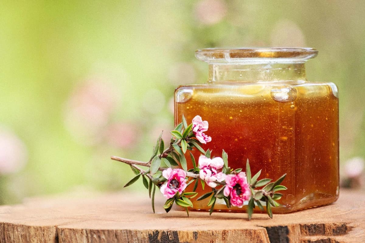 De ojos secos a encías sangrantes: beneficios inesperados de la miel de manuka. (wasanajai/Shutterstock).