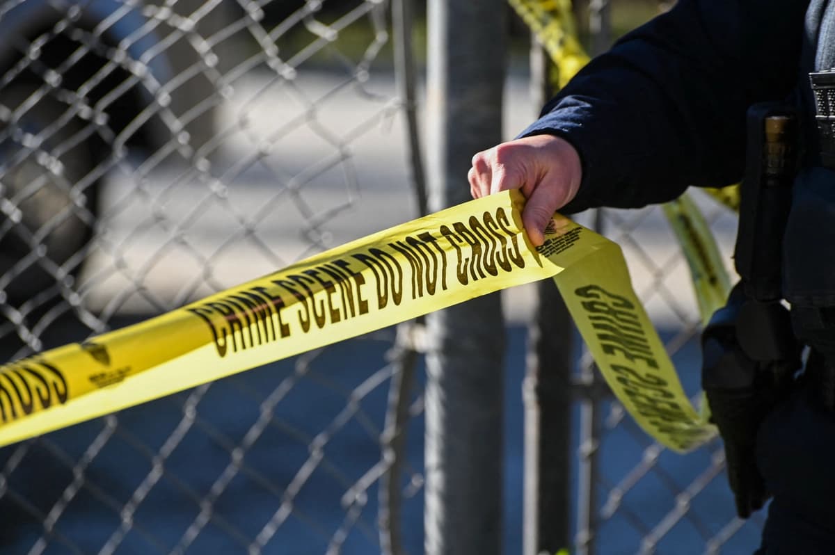 Sheriff denuncia escena "espantosa" tras hallar 117 perros muertos en refugio de California