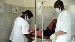 Uganda detecta casos graves de la enfermedad de Marburgo en medio del brote de ébola: OMS