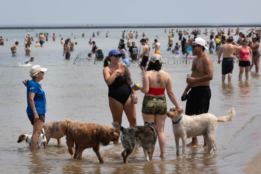 La gente se refresca en la playa de Montrose, en Chicago, Illinois, el 20 de junio de 2026. (Scott Olson/Getty Images)
