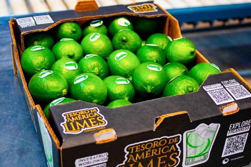 Fotografía cedida por la Secretaría de Agricultura y Desarrollo Rural (SADER) que muestra un empaque de limones este jueves, en Veracruz, Papantla, México. (EFE/ Secretaría de Agricultura y Desarrollo Rural)