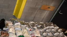 Incautan 6765 kg de drogas y precursores químicos en importante operación en Burnaby