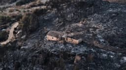Cientos de bomberos combaten incendio forestal en el sur de España que deja al menos 12 muertos