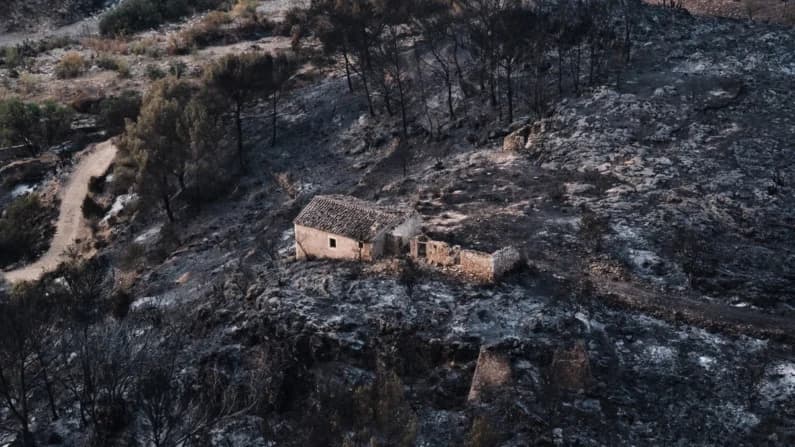 Cientos de bomberos combaten incendio forestal en el sur de España que deja al menos 12 muertos