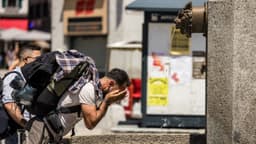 10,000 muertes en exceso durante la ola de calor de junio en Europa