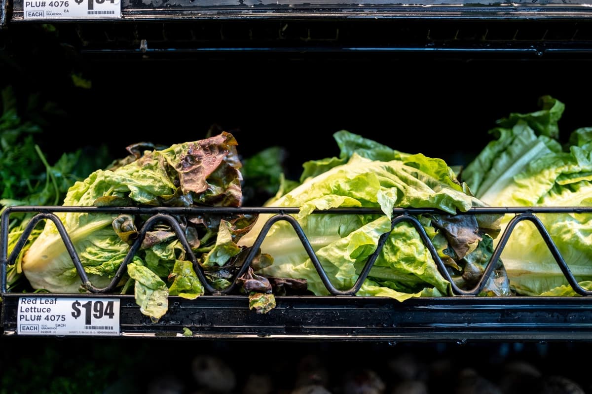 Lechuga expuesta en una tienda (Brandon Bell/Getty Images).