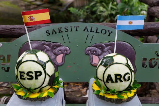 Hipopótamo viral tailandés Moo Deng predice quién ganará en el Mundial