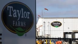 FDA: Una muestra de lechuga suministrada por Taylor Farms en México da positivo por Cyclospora