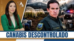 China, cárteles y Cannabis: El Mercado Negro que California no controla