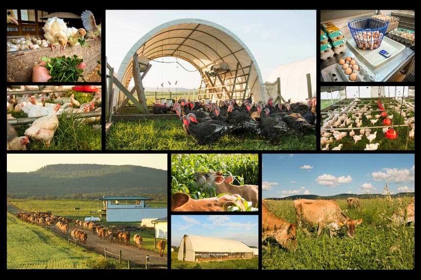 Detrás del creciente movimiento por la "libertad alimentaria" en Estados Unidos