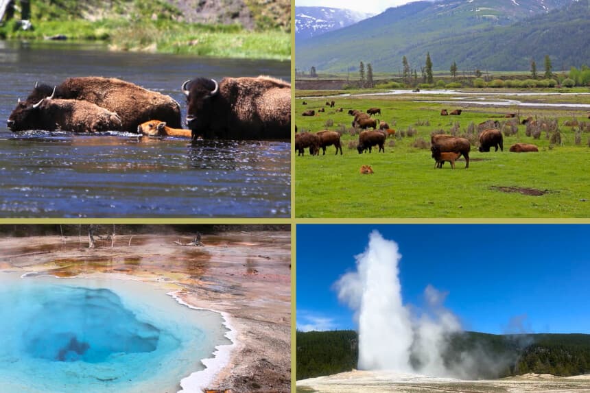 "Ve al oeste, joven": El llamado de Yellowstone resuena a través de las generaciones