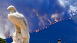 España declara emergencia por incendios forestales tras la evacuación de 10,000 personas