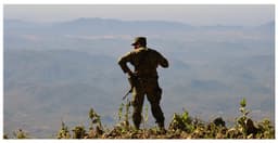 De la sierra al imperio: cómo nació el Cártel de Sinaloa