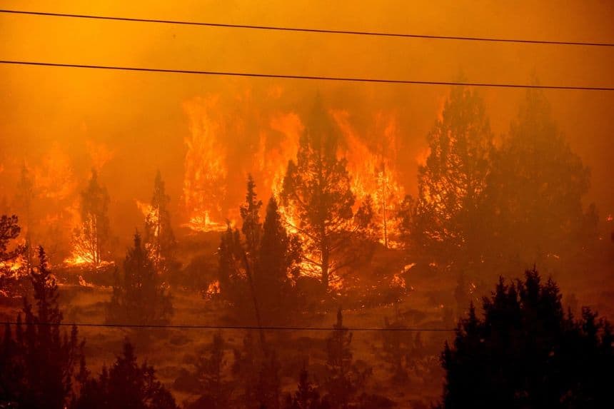 Las llamas consumen la vegetación a lo largo de Jackson Trail Rd. mientras el incendio de Bench arde en Warm Springs, Oregón, el 25 de julio de 2026. (Noah Berger/AP)