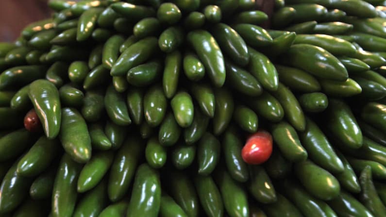 México descarta Salmonella Javiana en chiles jalapeños ante alerta de EE. UU.