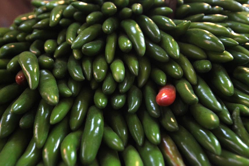 Fotografía ilustrativa de archivo que muestra chiles jalapeños a la venta en un mercado de la Ciudad de México, México. (EFE/Sáshenka Gutiérrez)