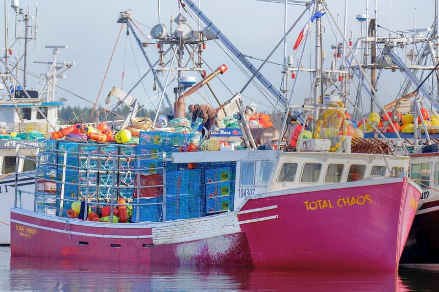 Canadá elimina los aranceles de represalia al marisco de EE. UU. tras solicitudes de la industria