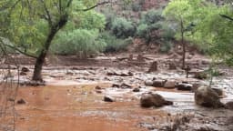 Una inundación repentina deja 1 muerto y 15 desaparecidos en el Gran Cañón