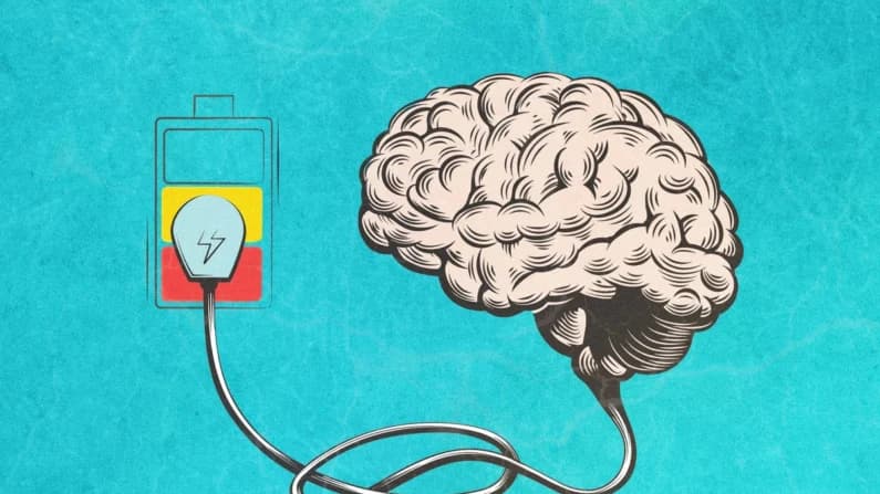 Si la memoria se desvanece, el secreto podría estar en la salud metabólica