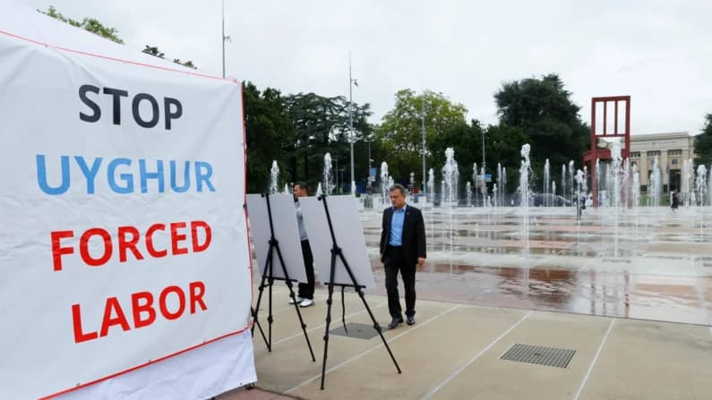 Legisladores presionan al DHS para hacer cumplir las leyes sobre importaciones y trabajo forzado