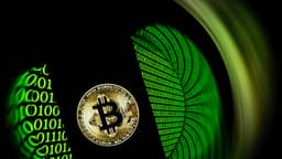 Autoridades desmantelan una granja de criptomonedas en el centro de México