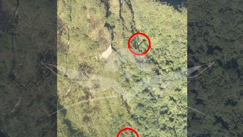 Las autoridades colombianas localizan "indicios" de la aeronave desparecida este domingo