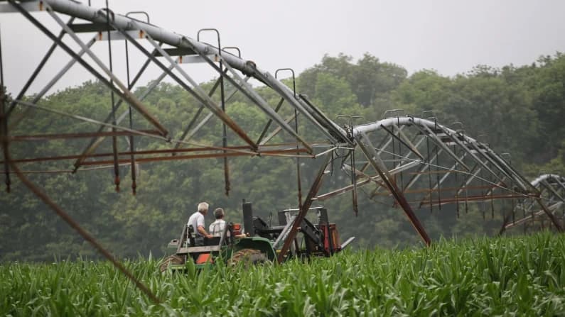 USDA prohíbe imponer normas ambientales y sociales a lecheros
